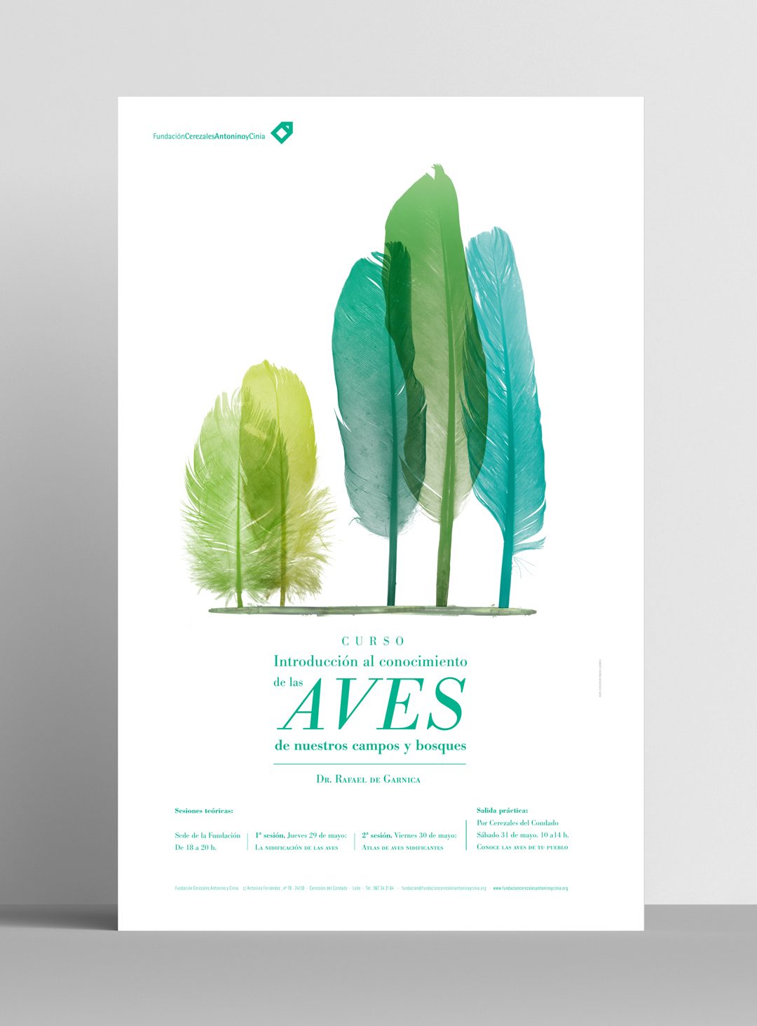 FCAYC-Aves-poster