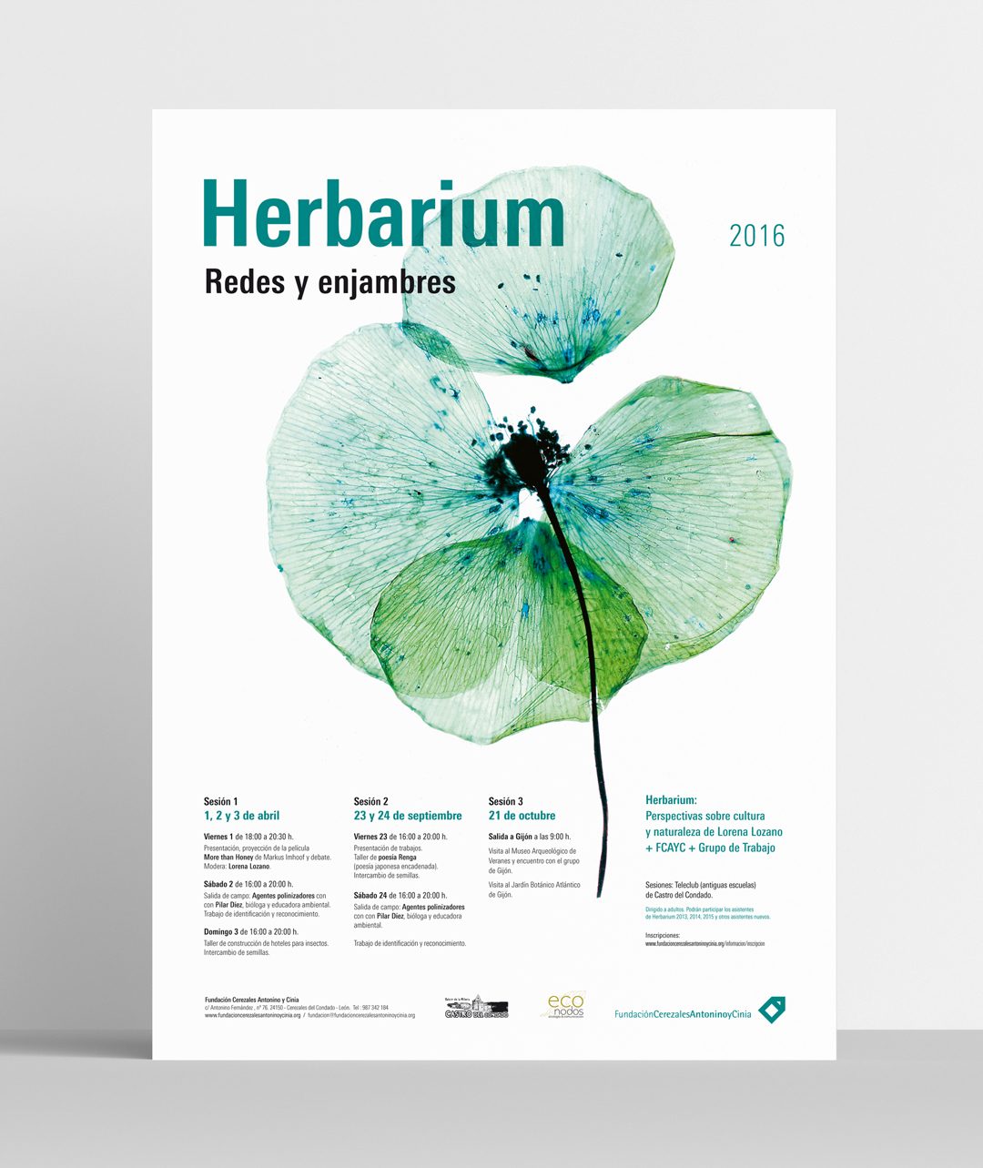 FCAYC-hebarium-16-poster