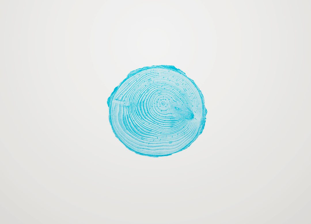 Sonidos-Invierno-2020-tumb